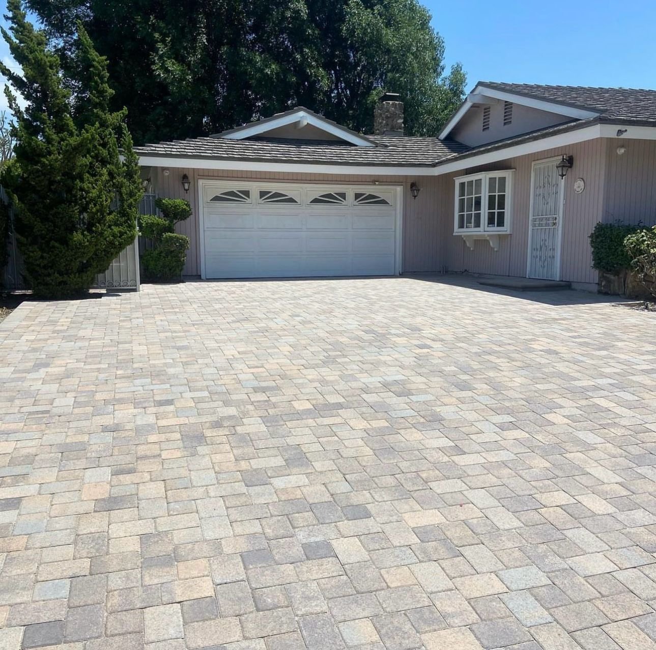 WhatsApp Image 2026-02-17 at 09.11.30